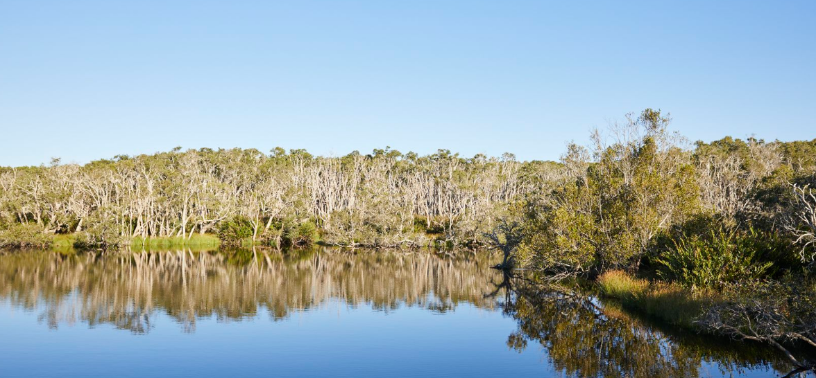 Screenshot 2025-11-26 174438